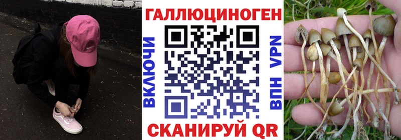 закладка  мориарти наркотические препараты  Псилоцибиновые грибы мицелий  Иноземцево 